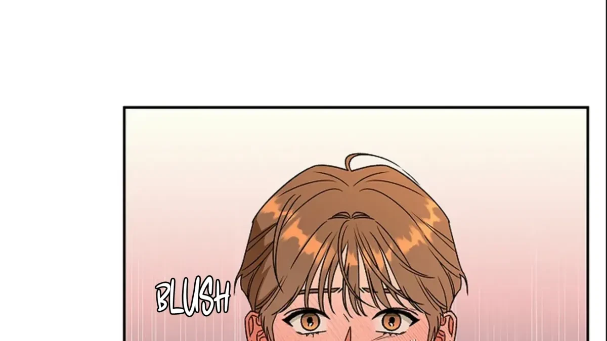Chapter 3, page 70
