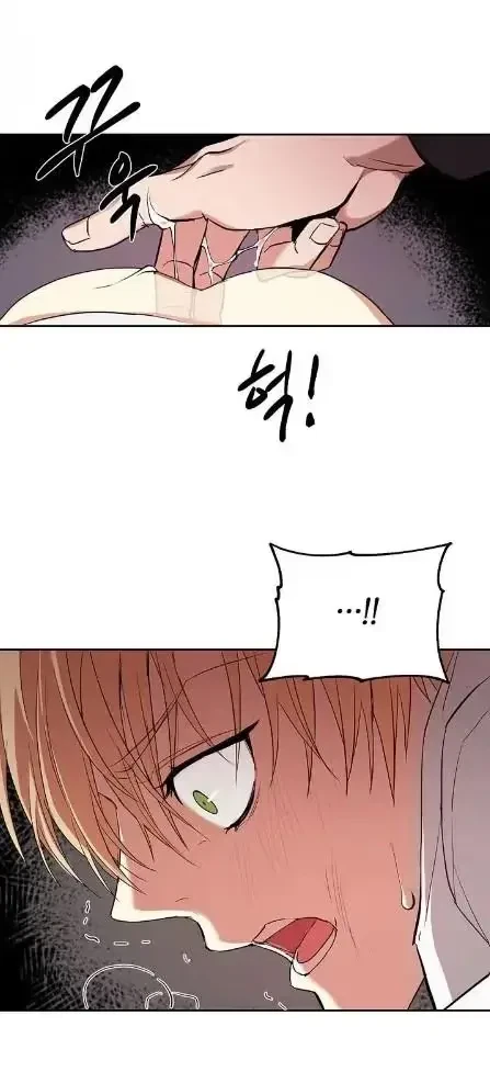 Chapter 3, page 29
