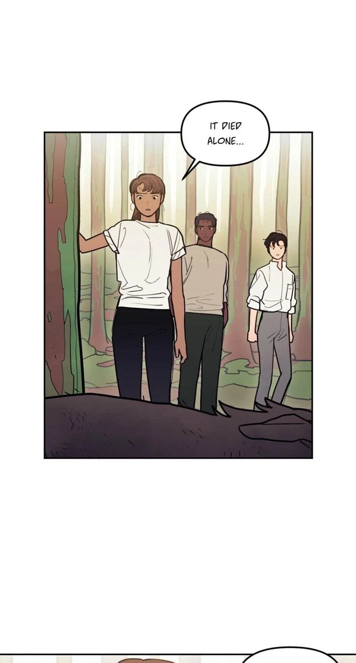 Chapter 50, page 5