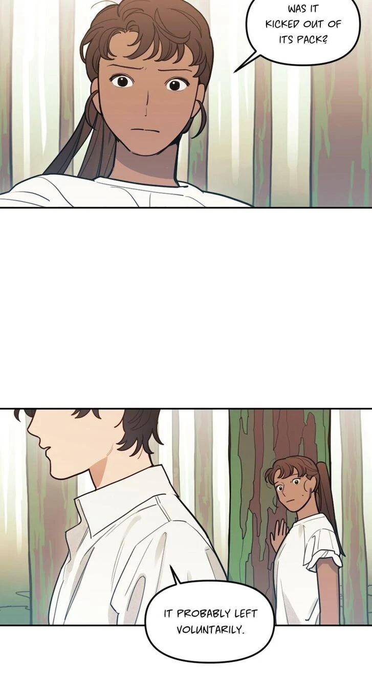 Chapter 50, page 6