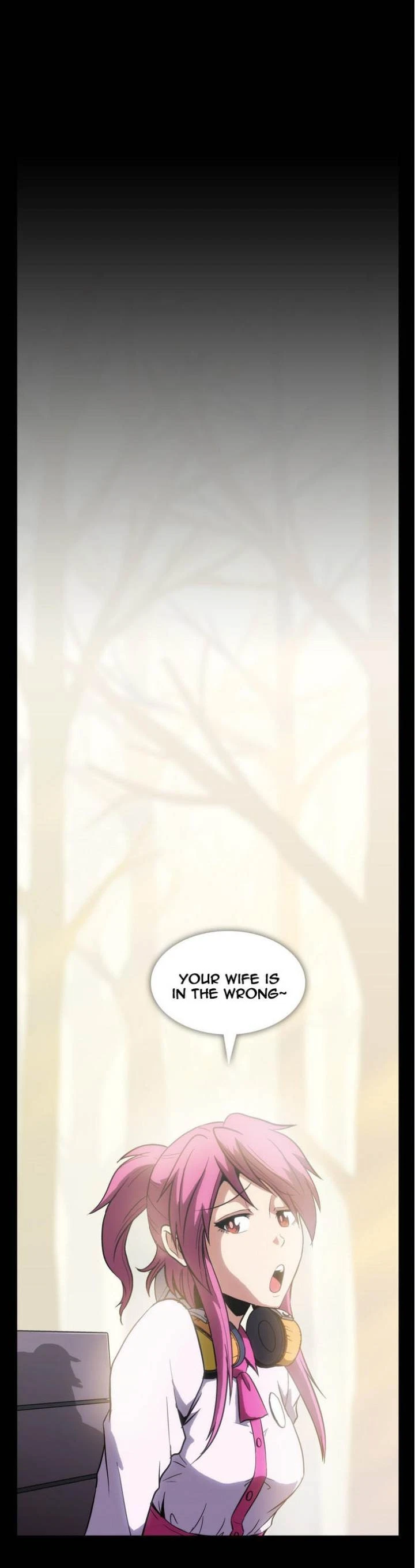 Chapter 3, page 19
