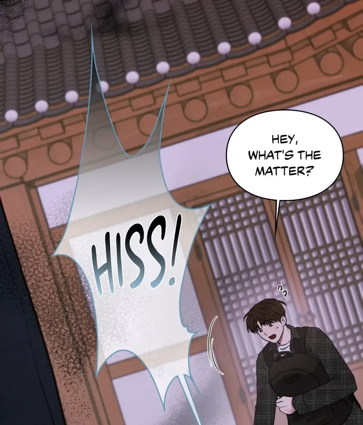 Chapter 17, page 97