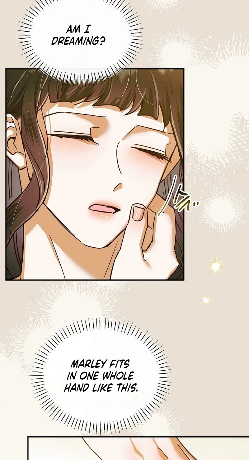 Chapter 7, page 7