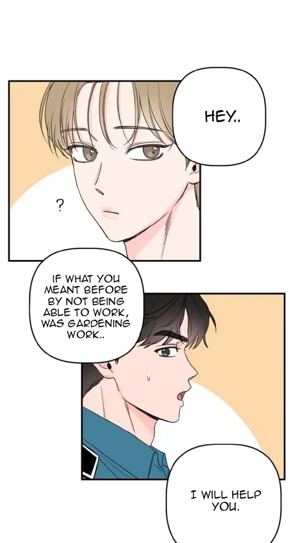 Chapter 2, page 19