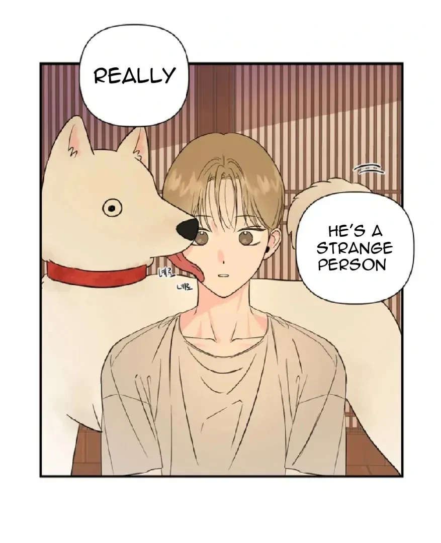 Chapter 2, page 36