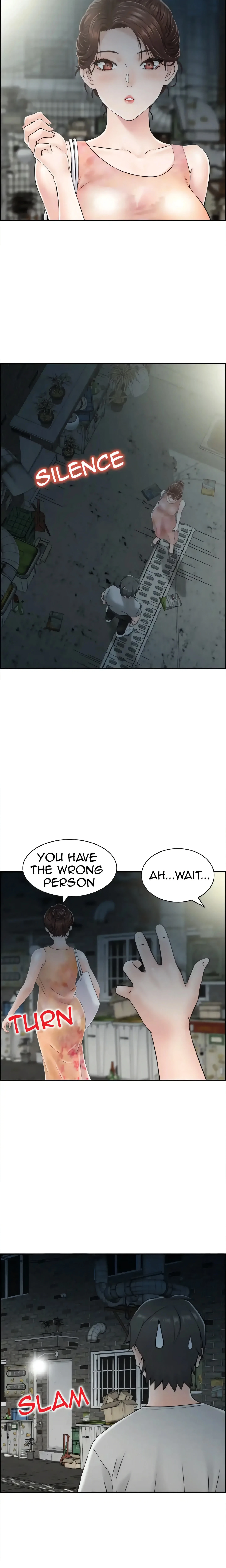 Chapter 1, page 17