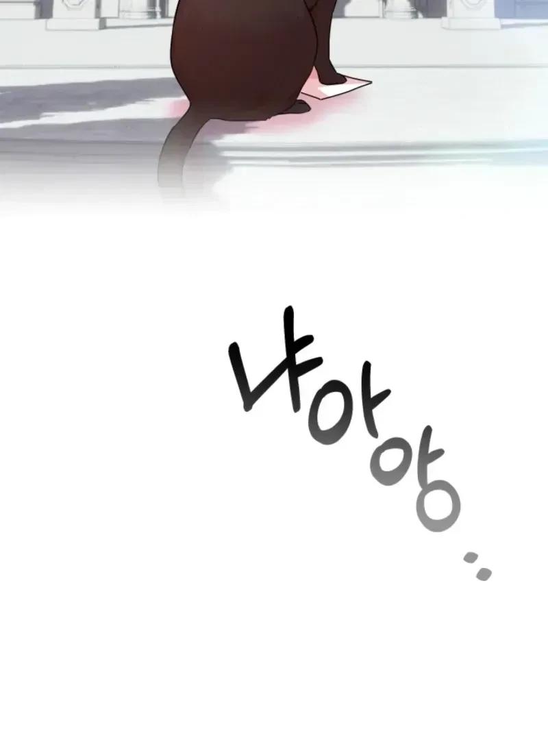 Chapter 1.1, page 106