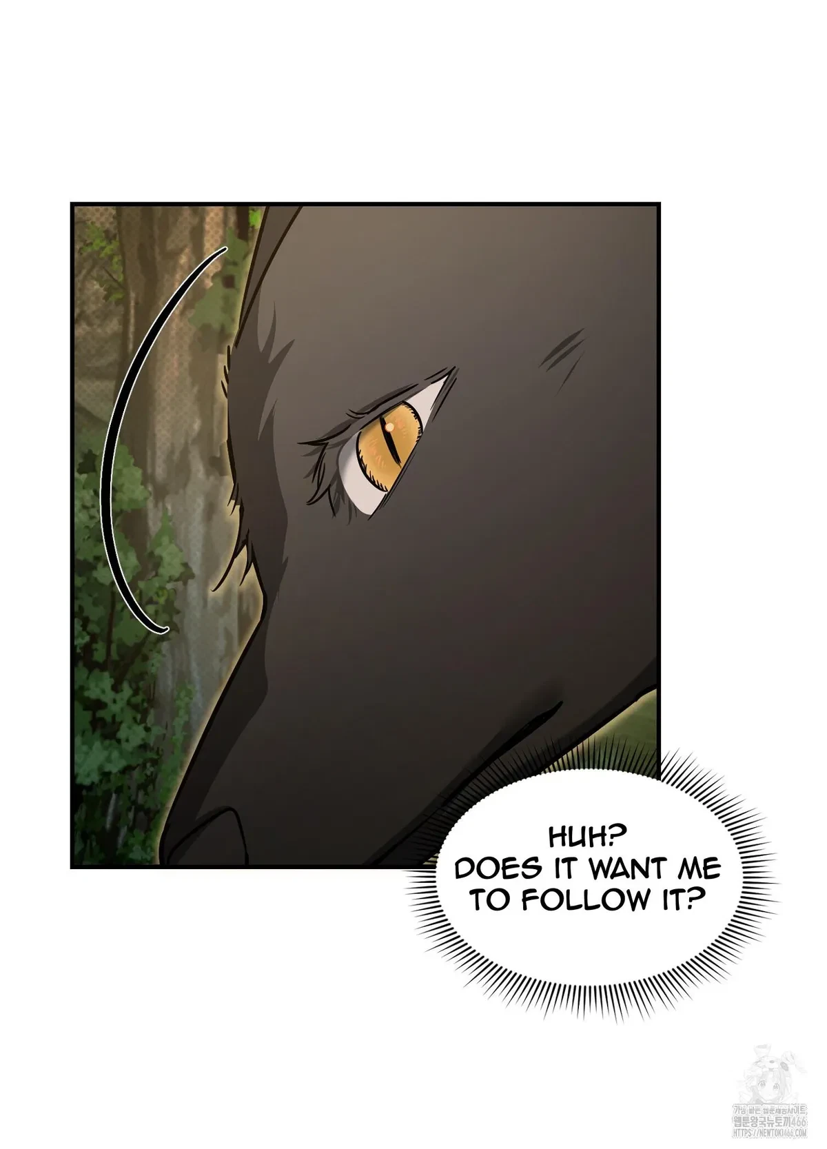 Chapter 1, page 19