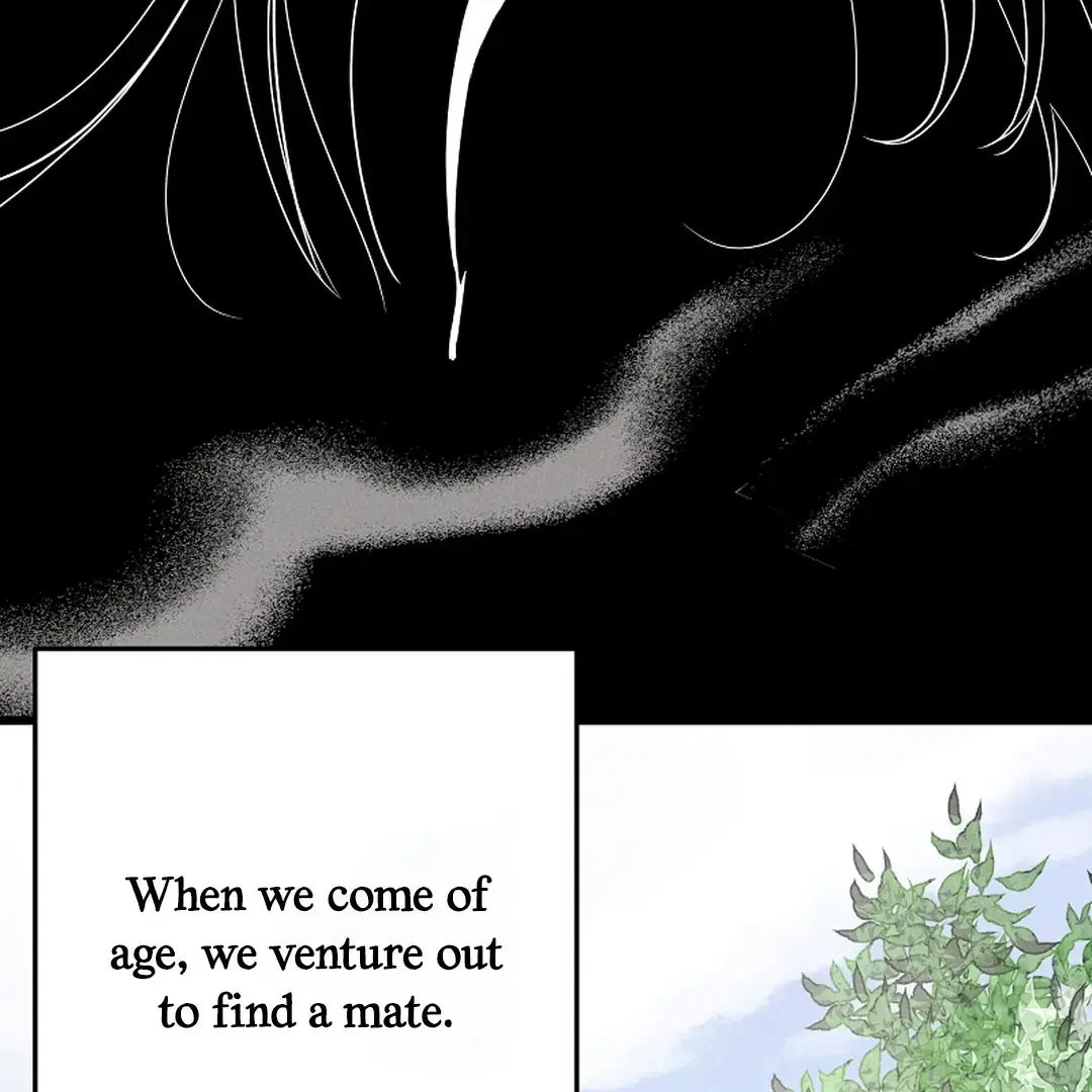 Chapter 2, page 57