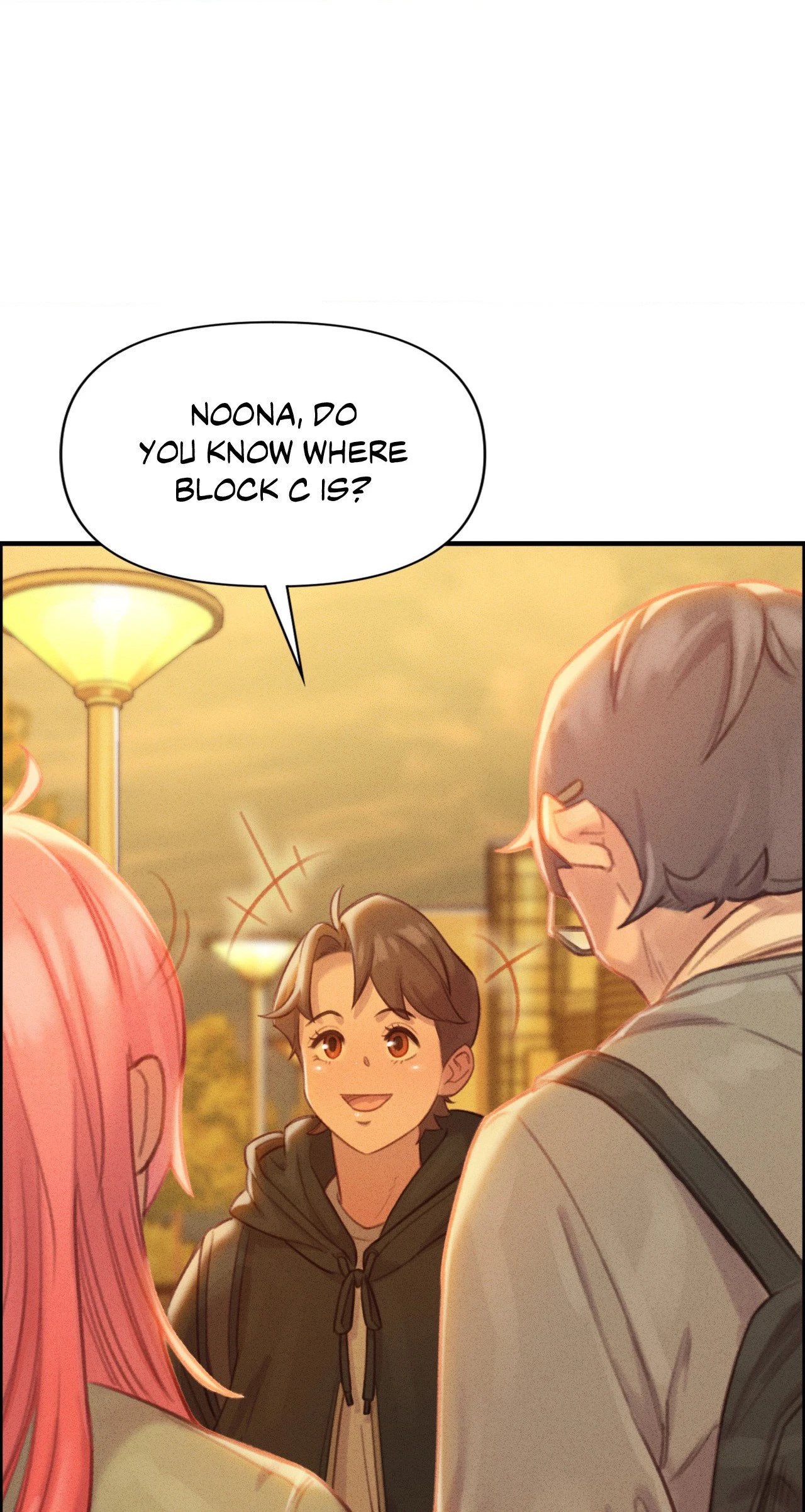 Chapter 3, page 102