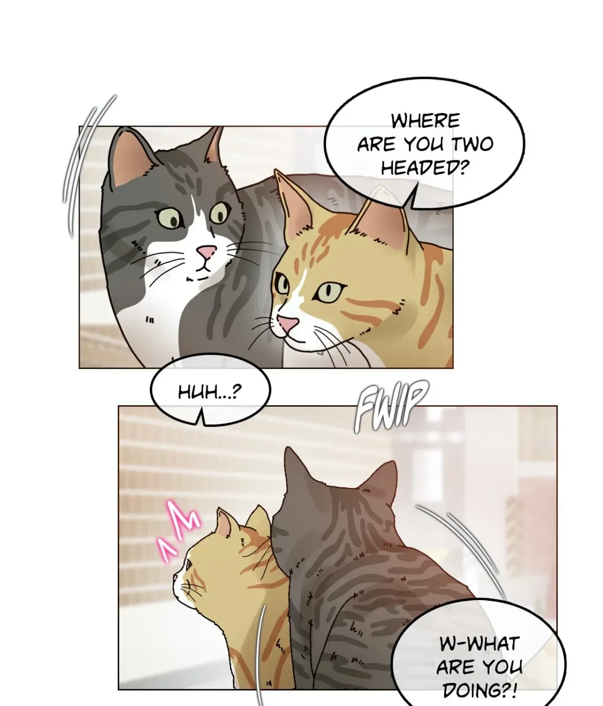 Chapter 3.1, page 19