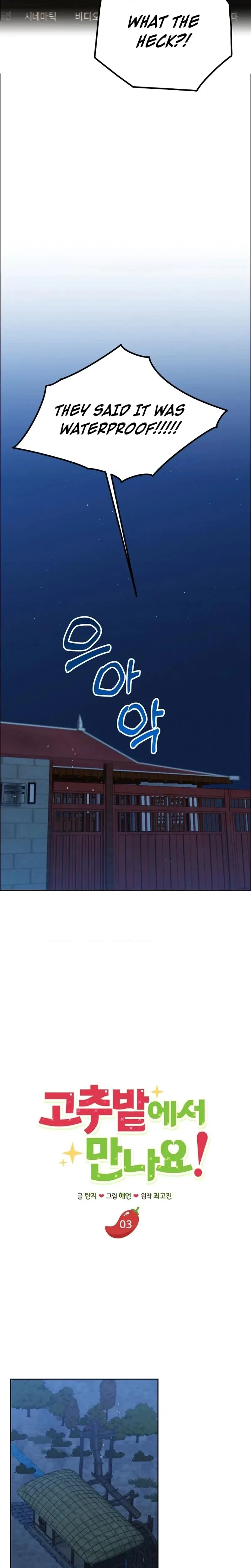 Chapter 3, page 20
