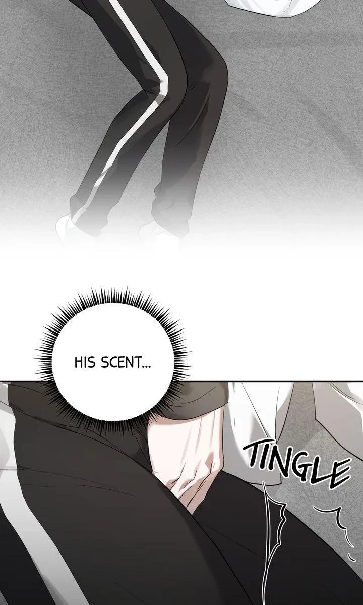 Chapter 63, page 72