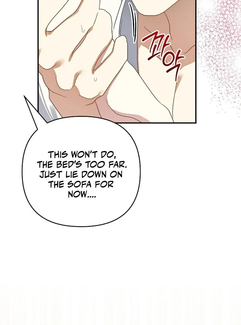 Don’t Feed Cookies To A Starving Wolf Chapter 1, page 102