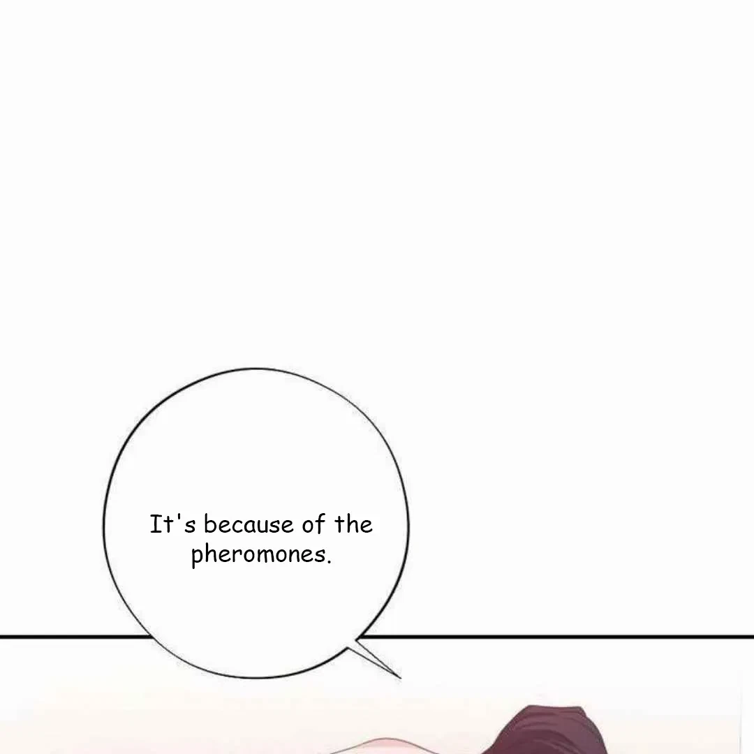Chapter 4, page 8