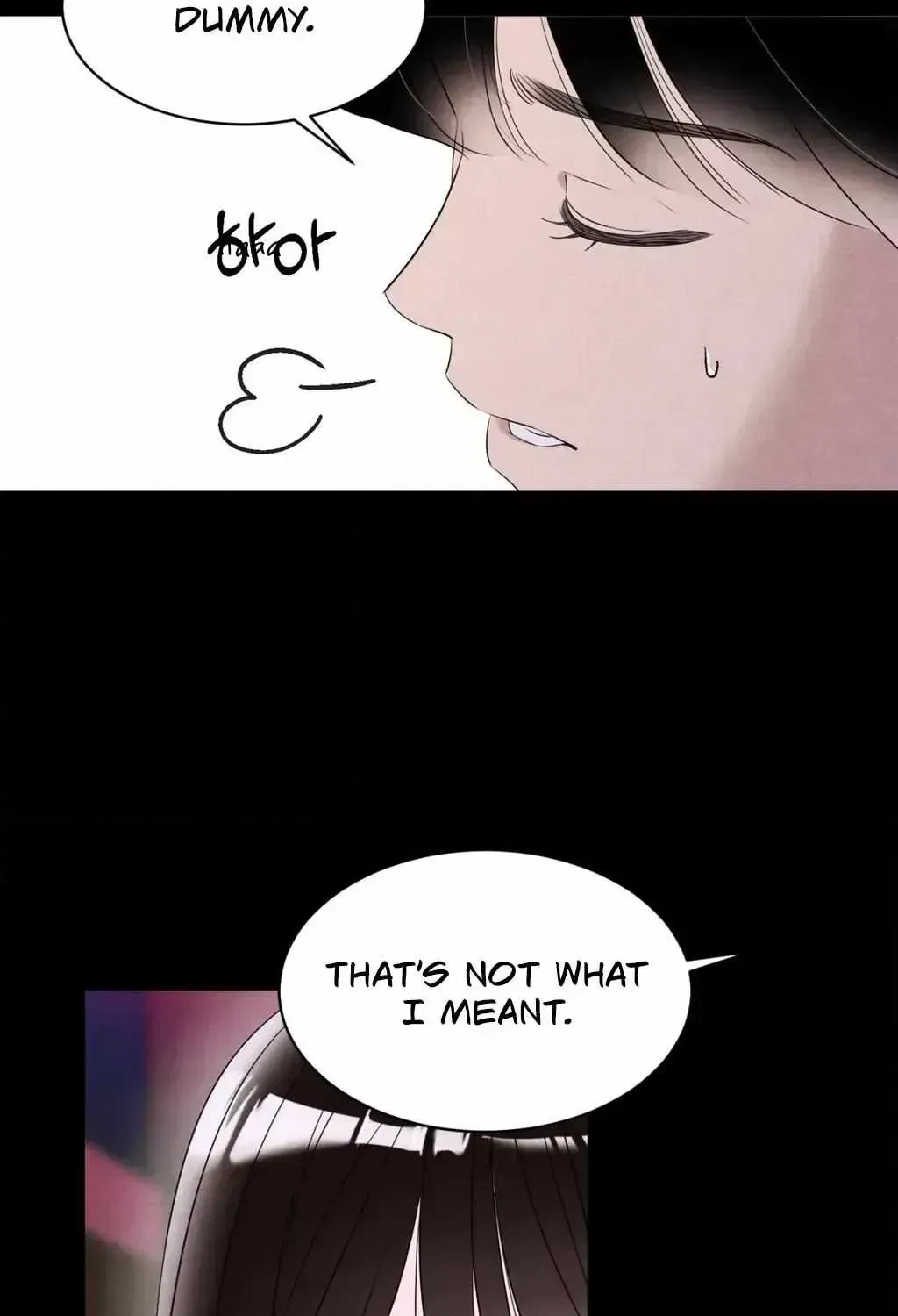 Chapter 2.3, page 102