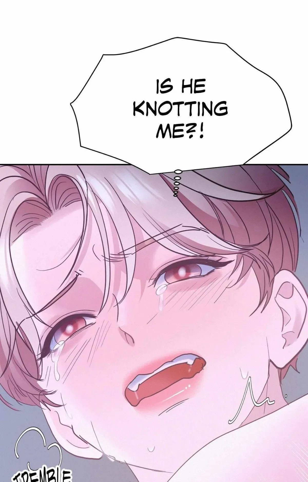 Side.20, page 68
