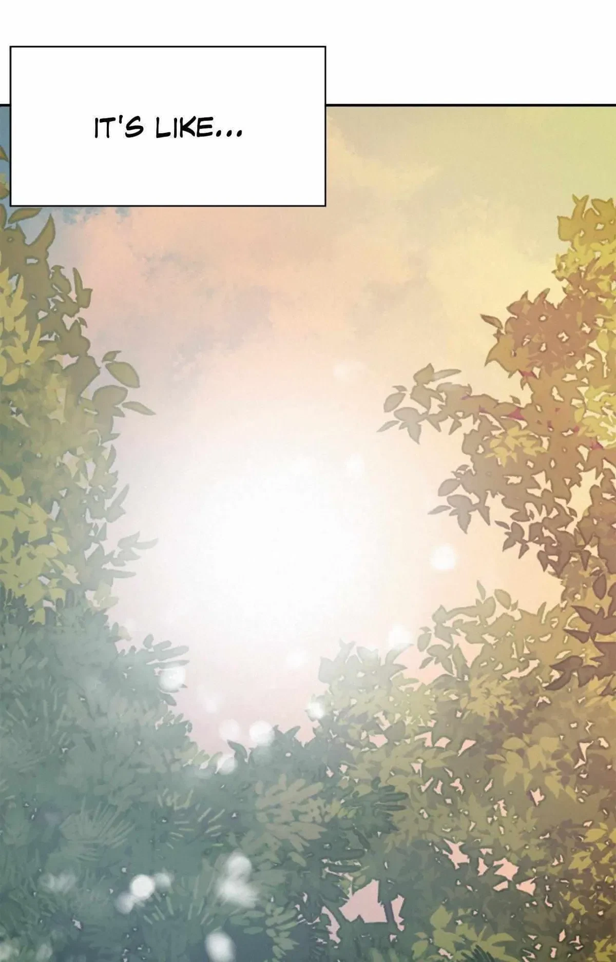 Side.20, page 74