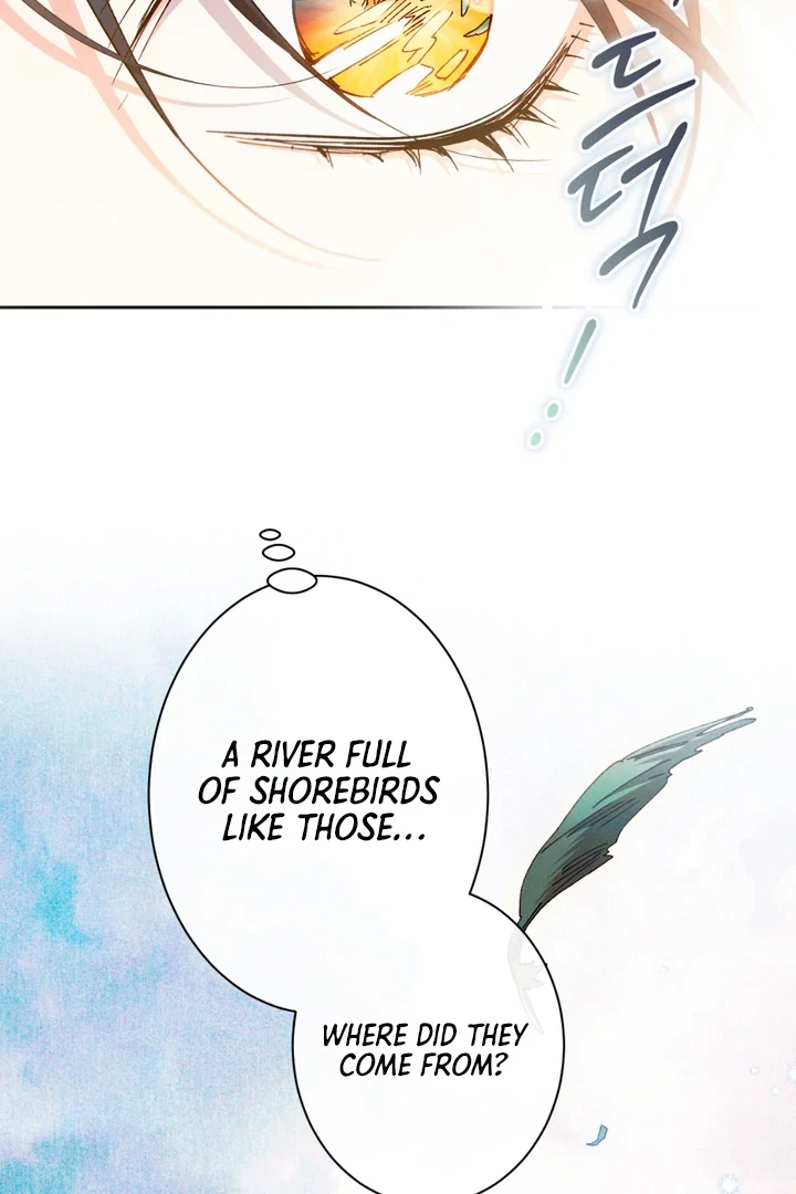 Chapter 2, page 34