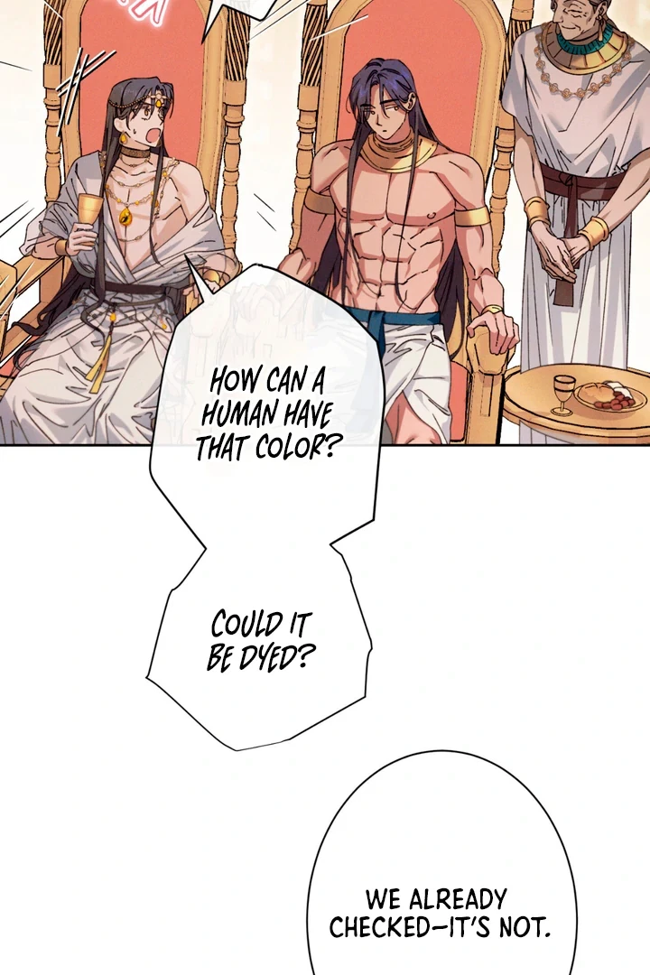 Chapter 2, page 49