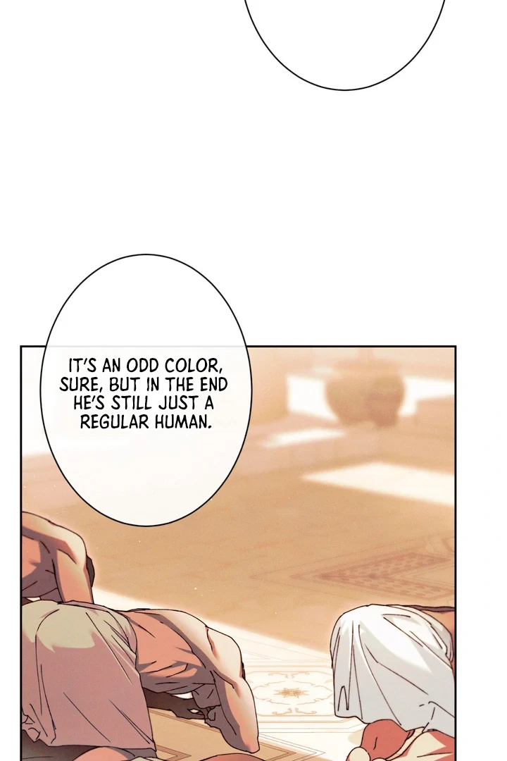Chapter 2, page 50