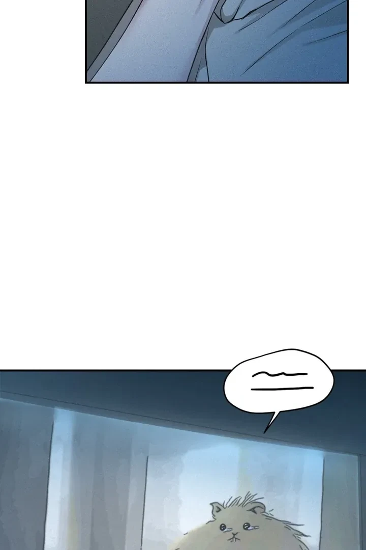 Chapter 41, page 63