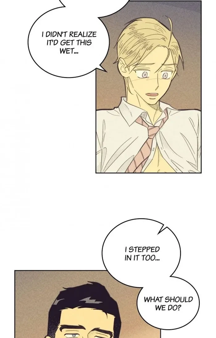 Chapter 65, page 19