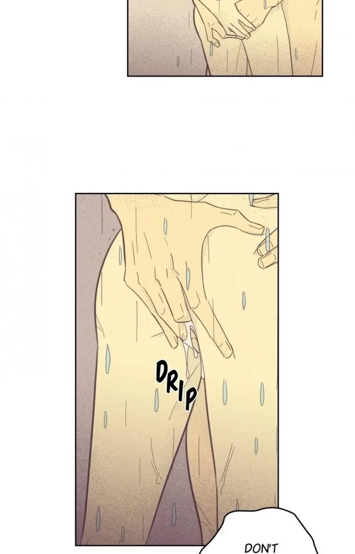 Chapter 65, page 29