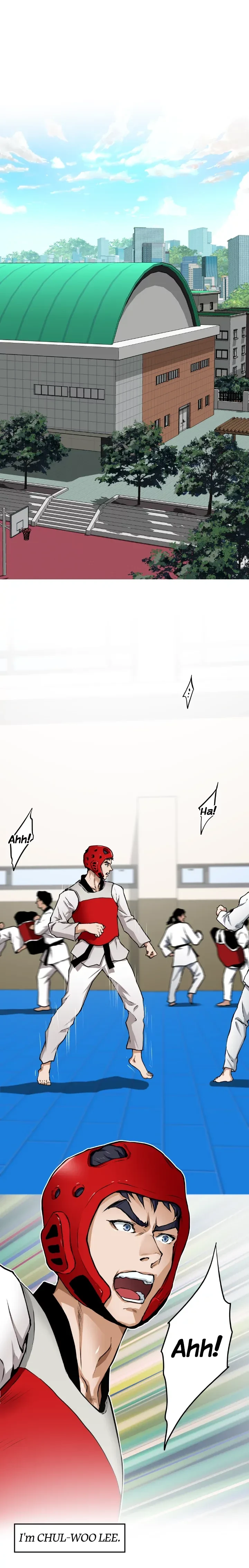 Chapter 1, page 19
