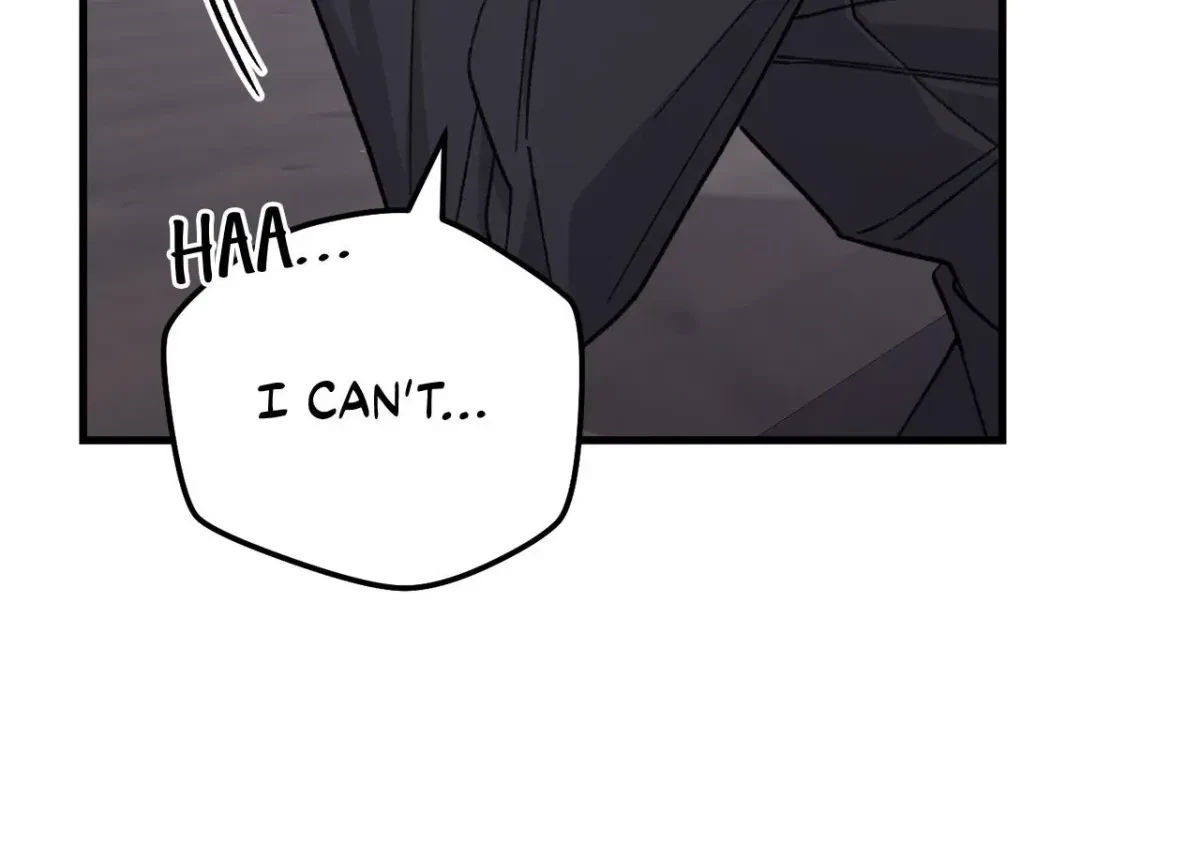Chapter 2.1, page 101