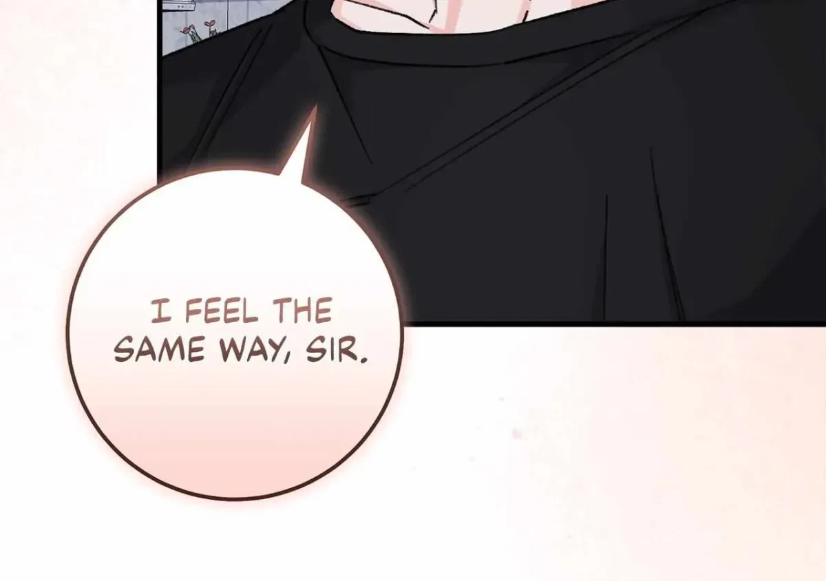 Chapter 2.1, page 67
