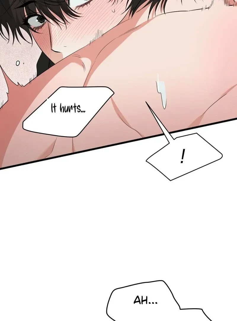 Chapter 4, page 101