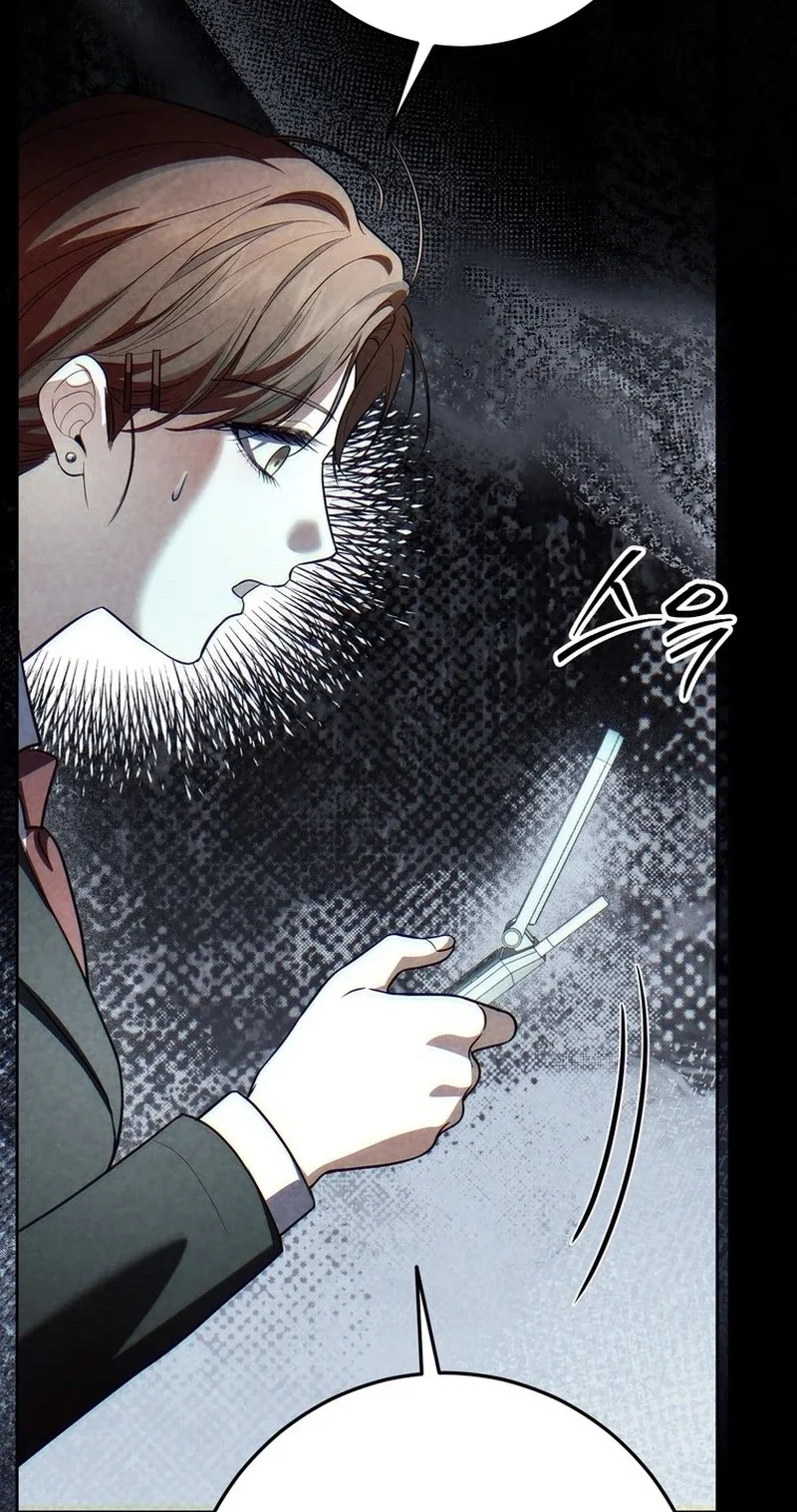Chapter 27, page 95