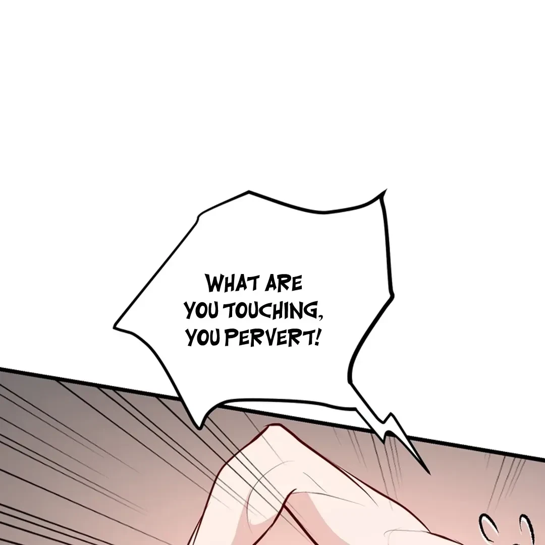 Chapter 5, page 97