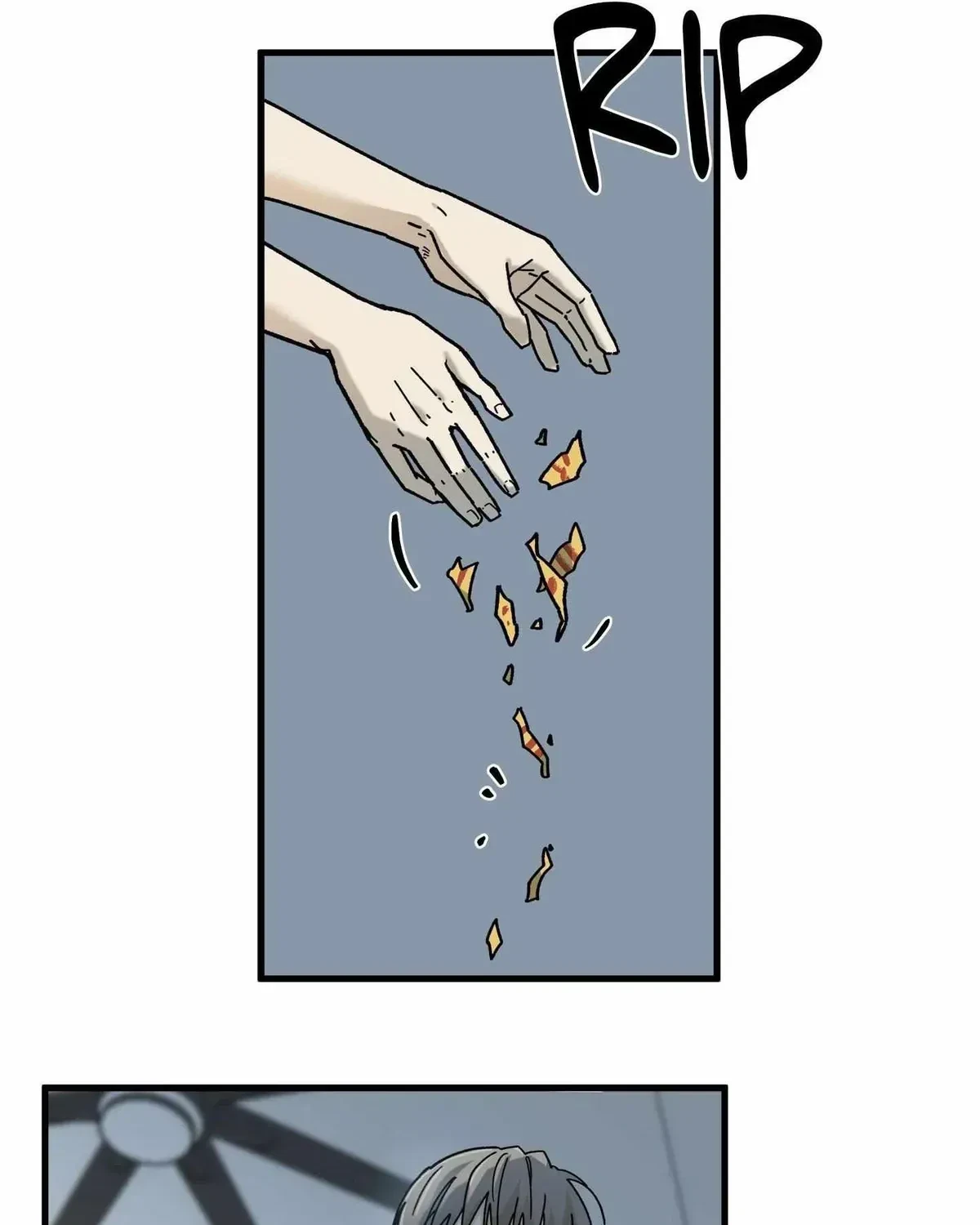 Chapter 2.1, page 15
