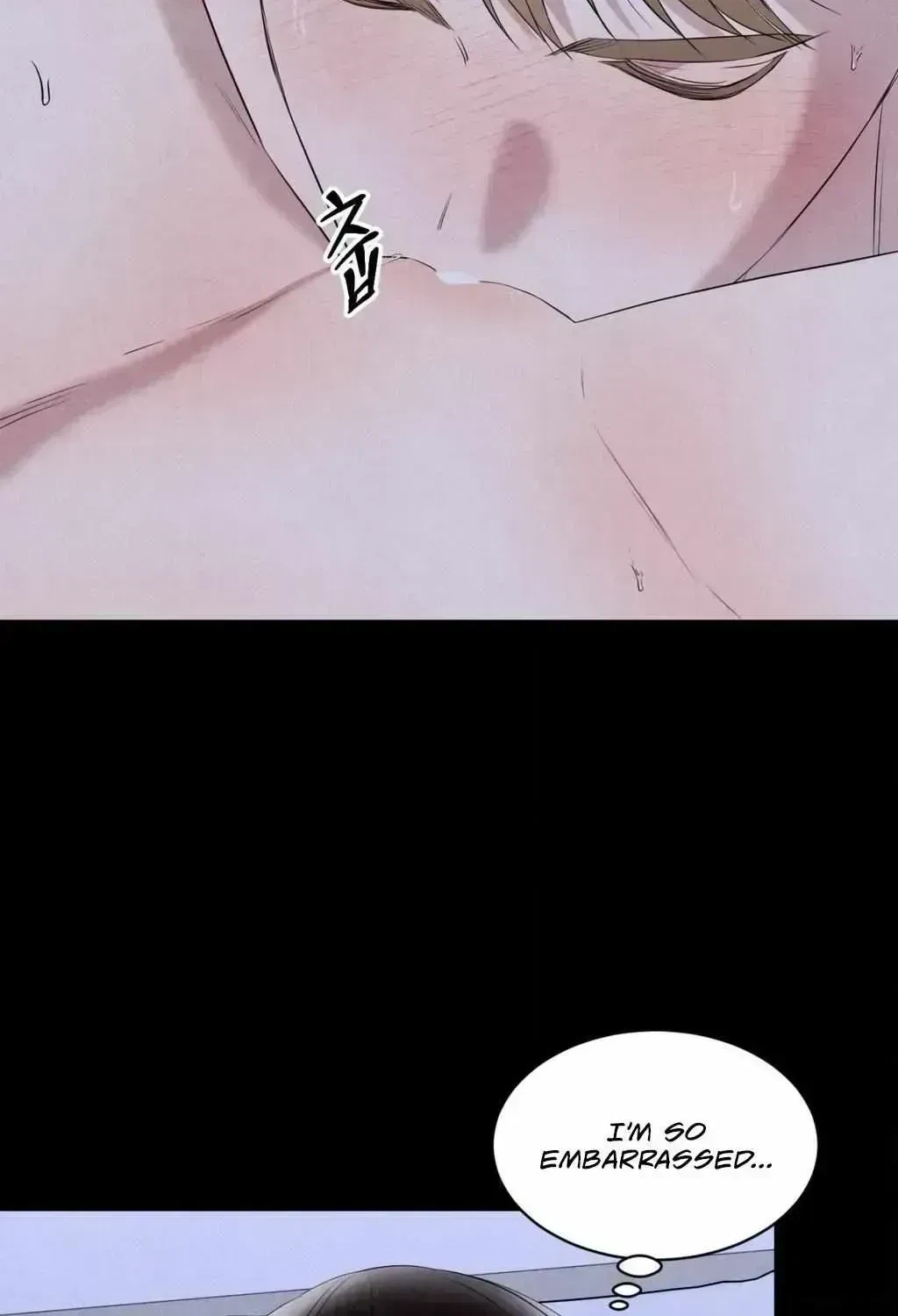 Chapter 2.5, page 33