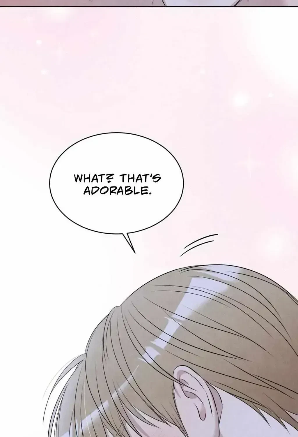 Chapter 2.5, page 62