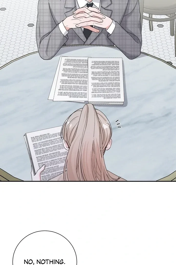 Chapter 2, page 48