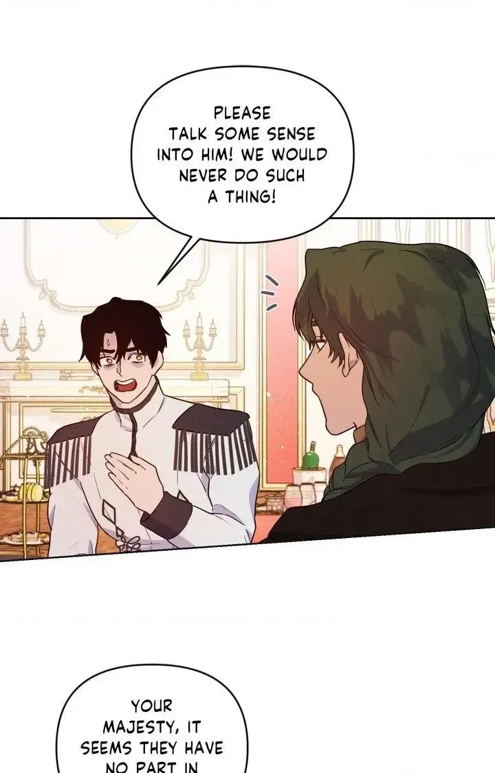 Chapter 2, page 17