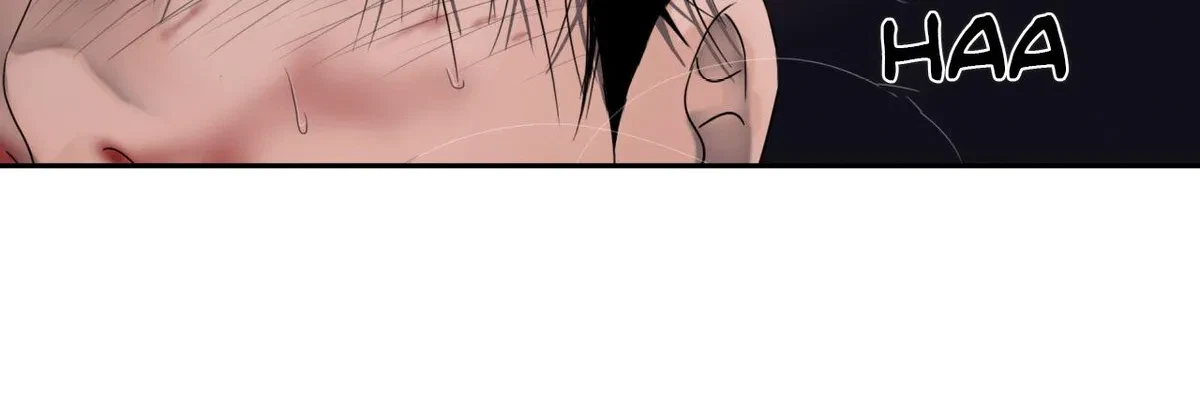Chapter 6, page 102