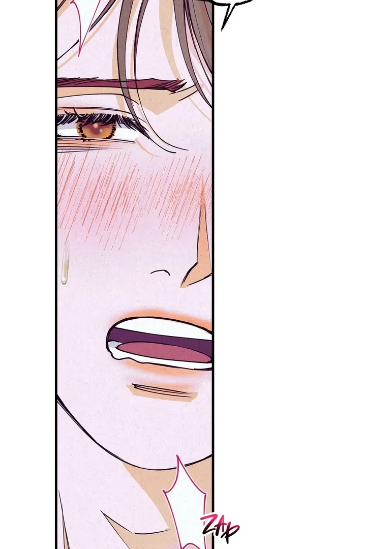 Chapter 4, page 101