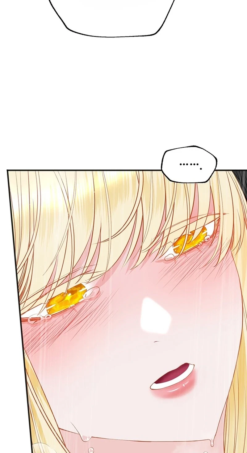 Chapter 4, page 101