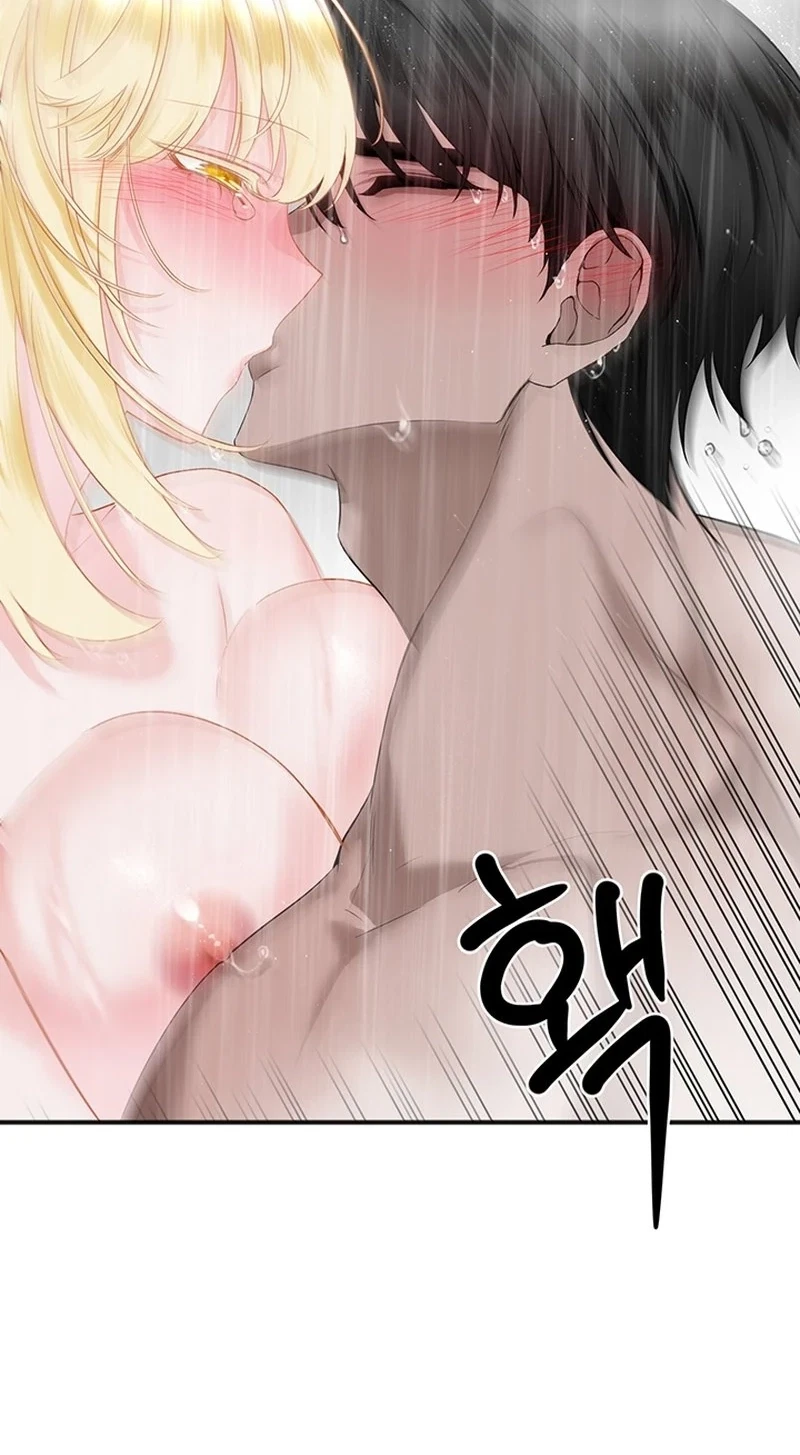 Chapter 4, page 85