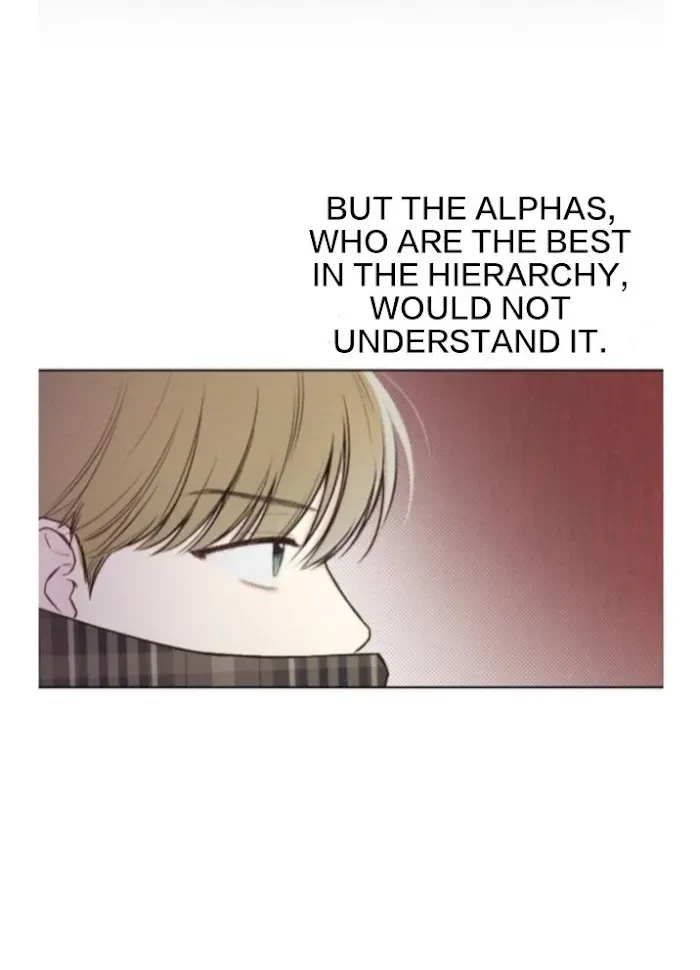 Chapter 2, page 13