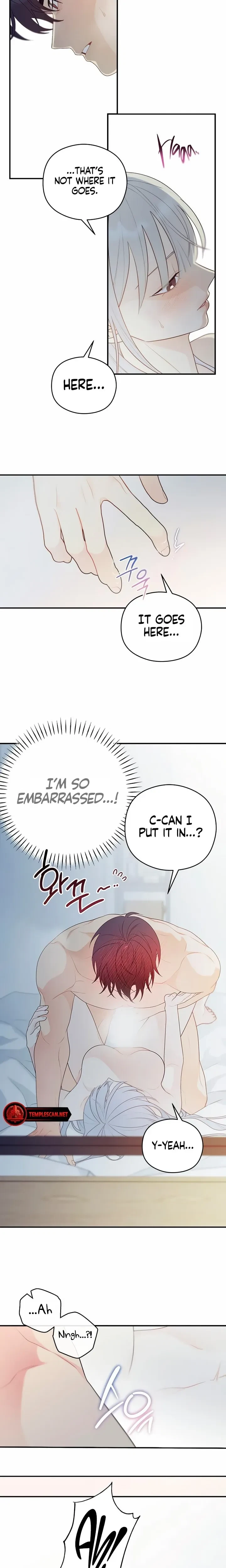 Chapter 17, page 14