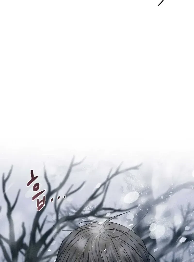 Chapter 1.2, page 11