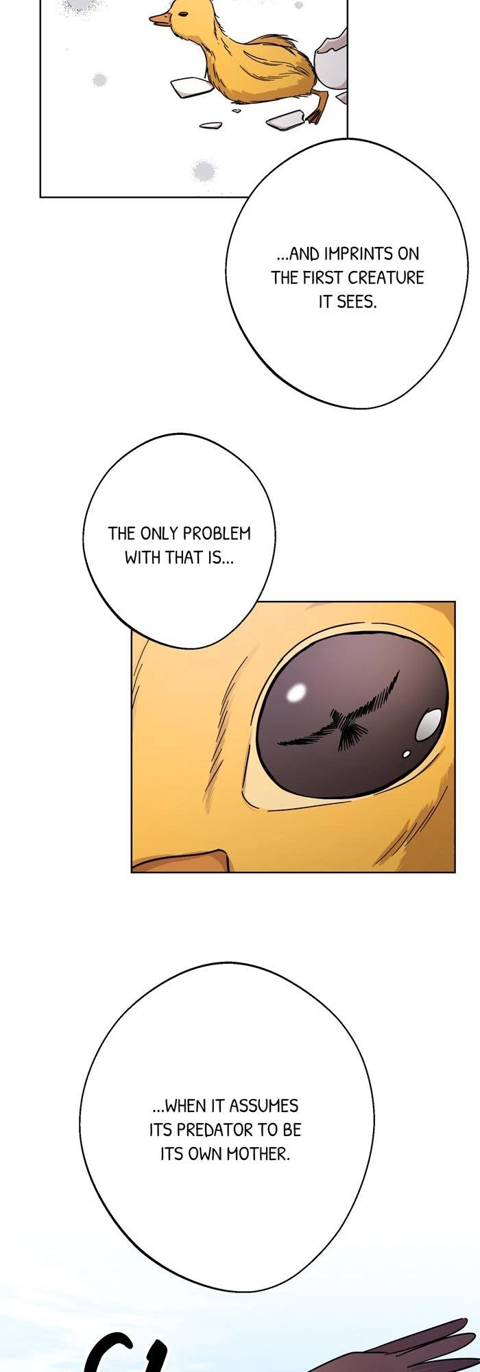 Chapter 20, page 43