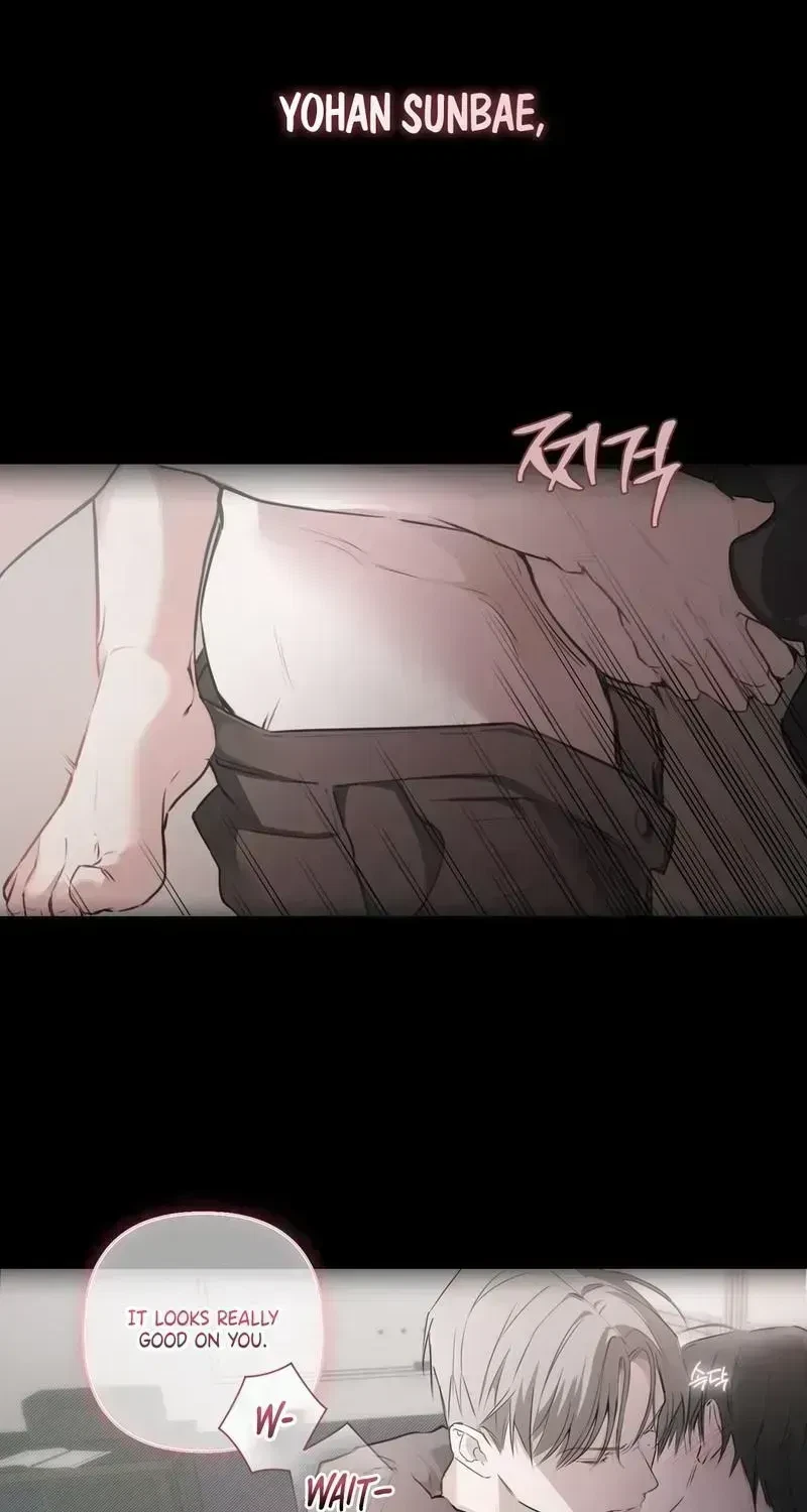 Chapter 1.5, page 52