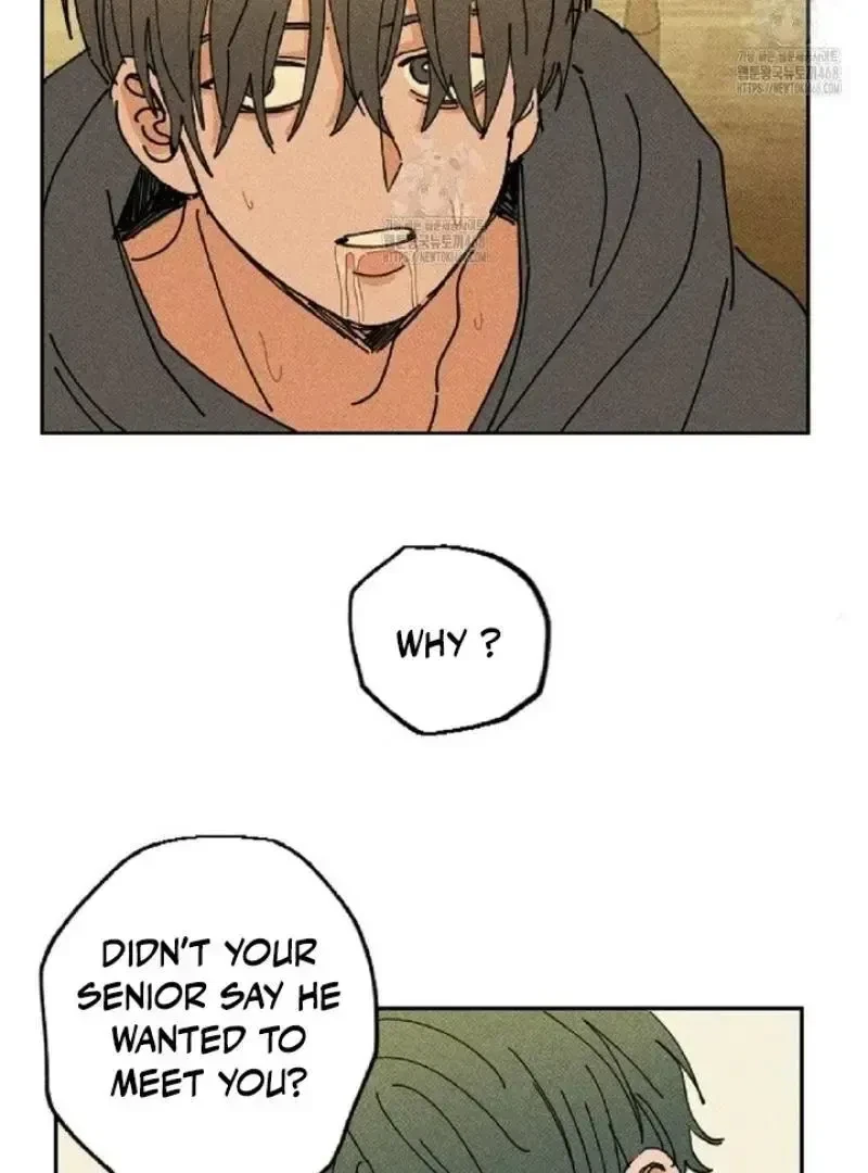 Chapter 5, page 16