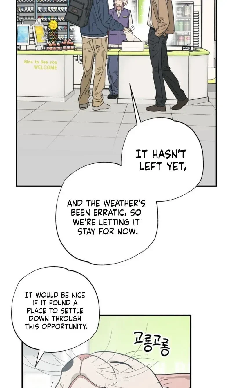 Chapter 18, page 47